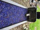 image of grave number 684353